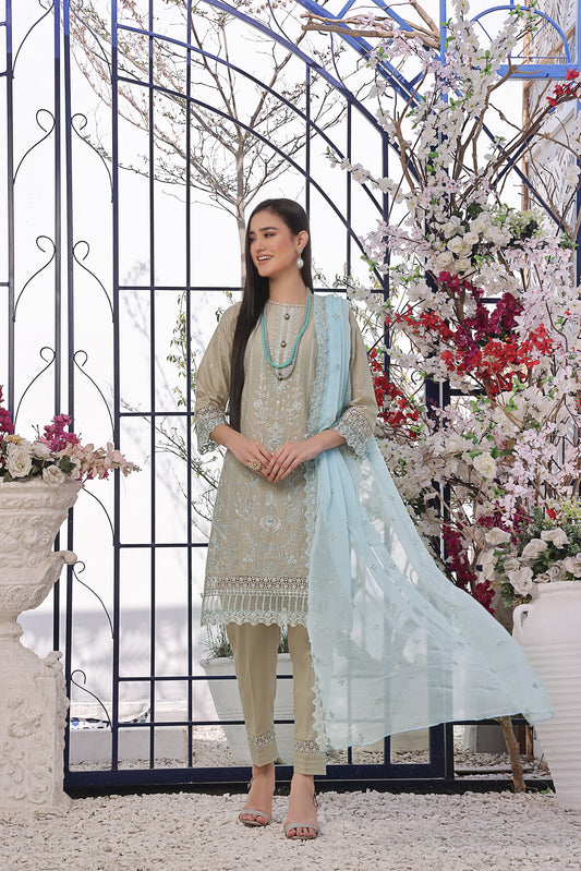 Stone Beige Embroidered Suit